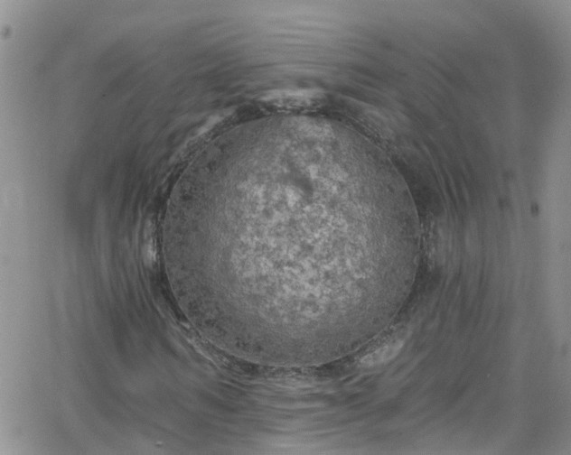 X0000066090962200603171051