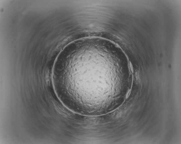 X0000066090963200603171051