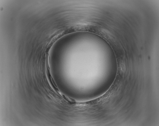 X0000066090964200603171051