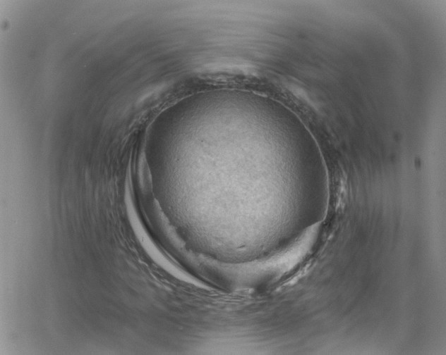 X0000066090965200603171051