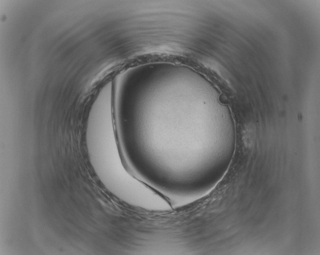 X0000066090968200603171051