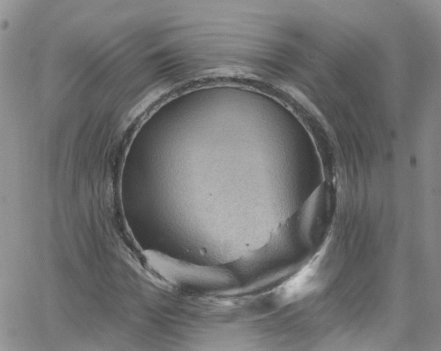 X0000066090969200603171051