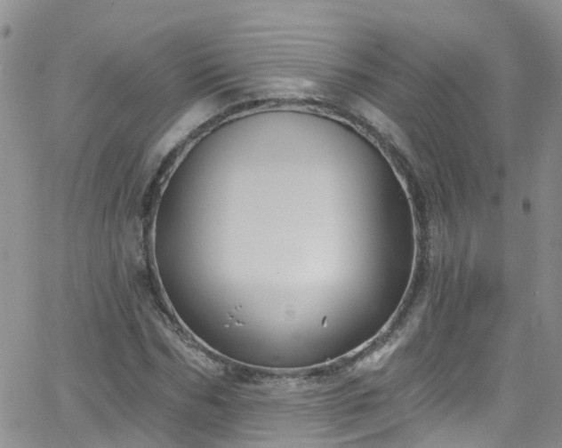 X0000066090970200603171051