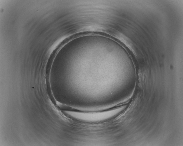 X0000066090972200603171051