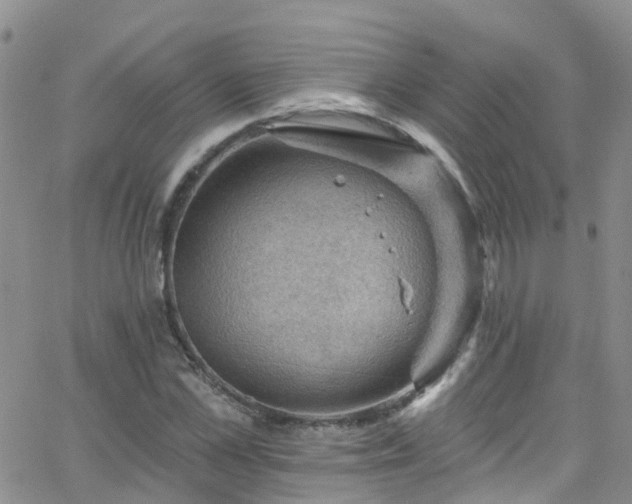 X0000066090973200603171051