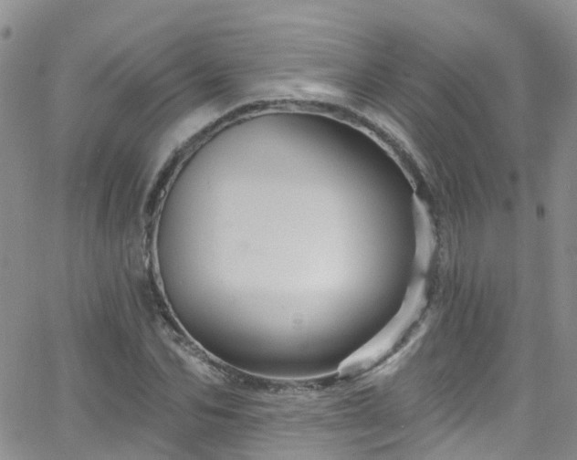 X0000066090974200603171051