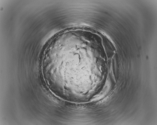 X0000066090975200603171051