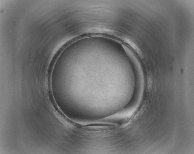 X0000066090976200603171051