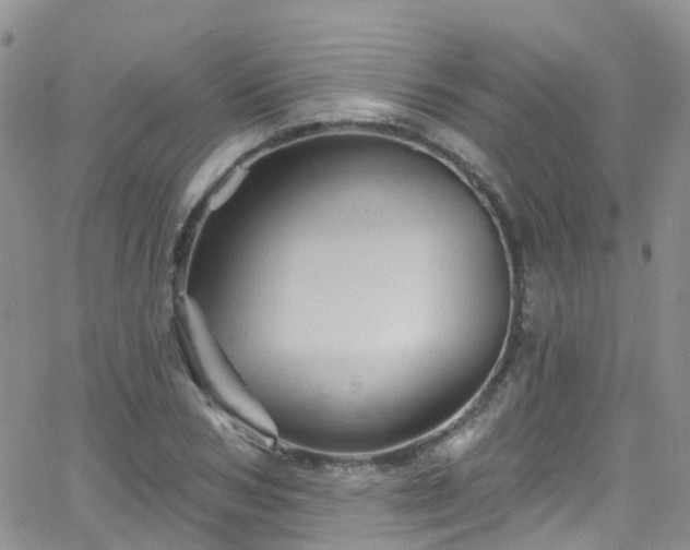 X0000066090978200603171051