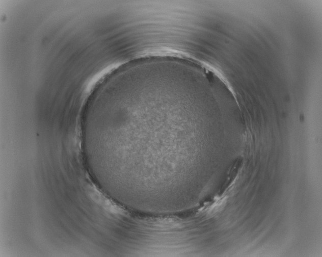 X0000066090979200603171051