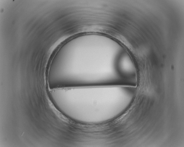 X0000066090980200603171051