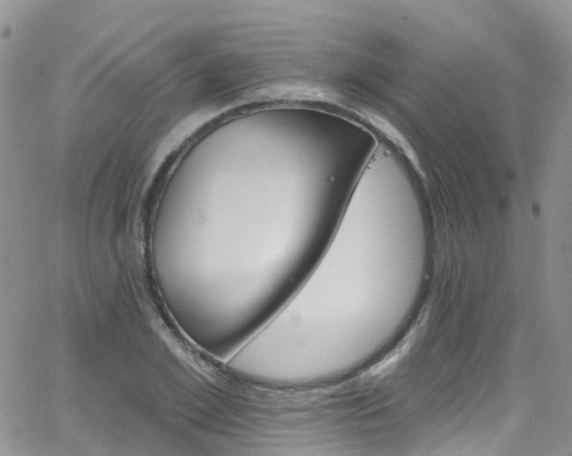 X0000066090981200603171051