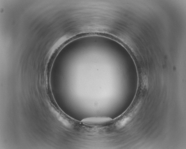 X0000066090982200603171051