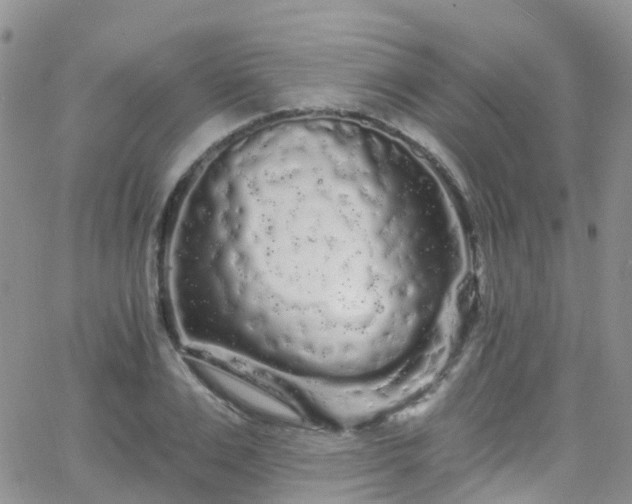 X0000066090983200603171051