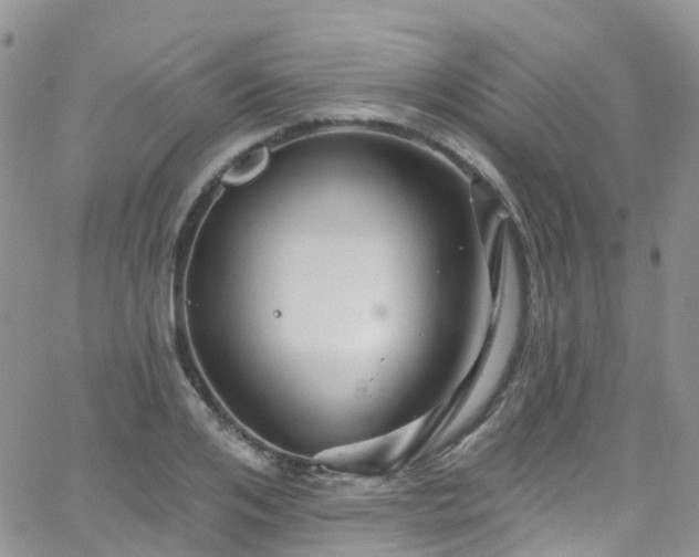 X0000066090984200603171051