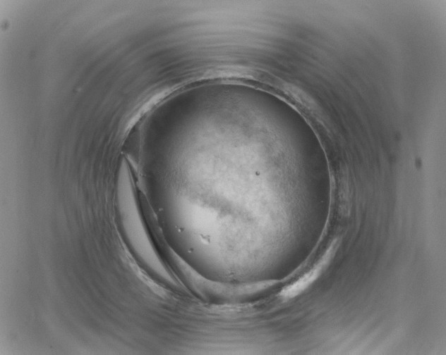 X0000066090985200603171051