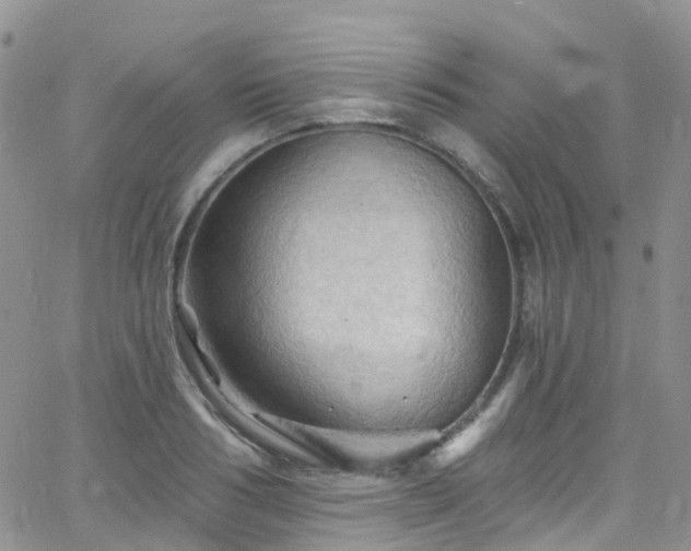 X0000066090986200603171051