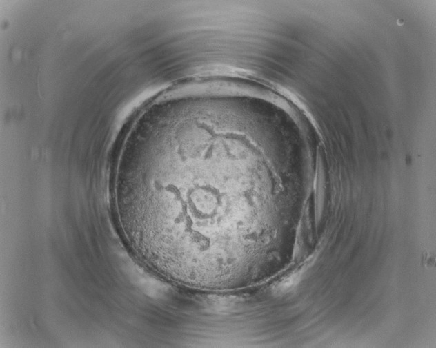 X0000066090987200603171051