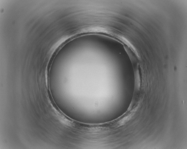 X0000066090988200603171051