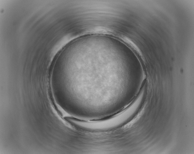 X0000066090989200603171051