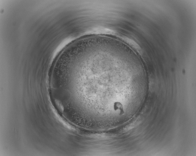 X0000066090990200603171051