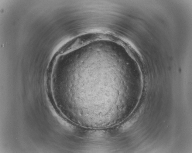 X0000066090991200603171051