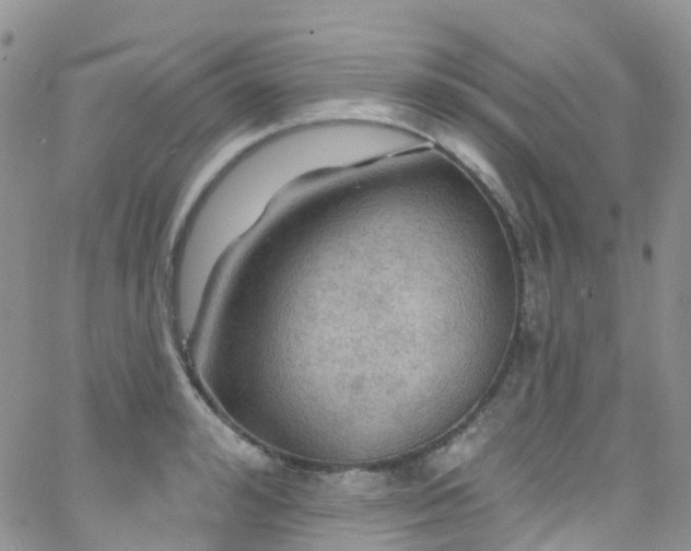 X0000066090992200603171051