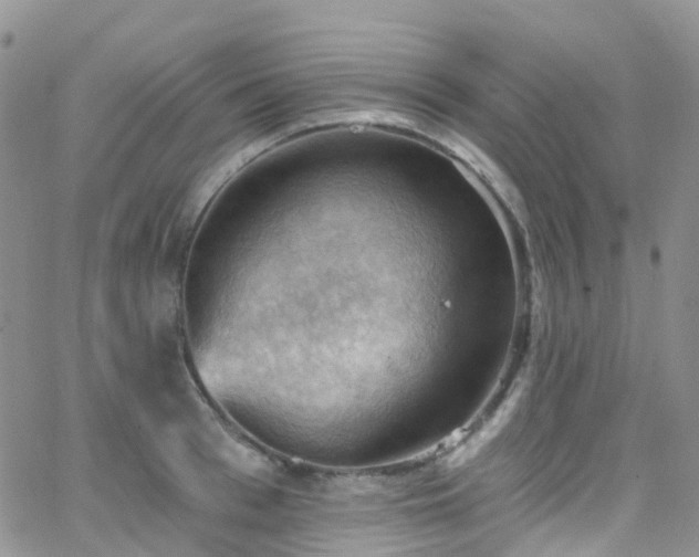 X0000066090993200603171051