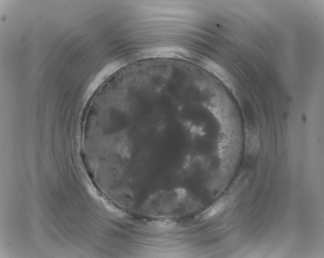 X0000066090994200603171051