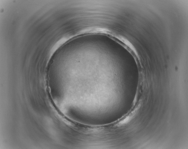 X0000066090997200603171051