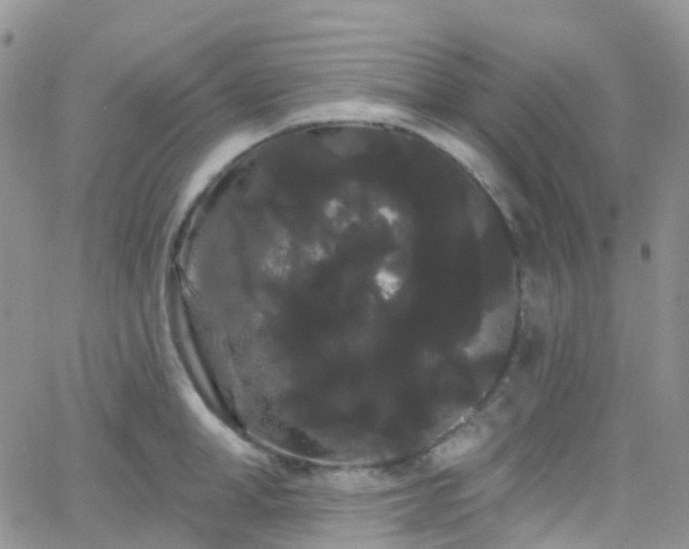 X0000066090998200603171051