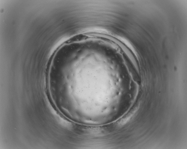 X0000066090999200603171051