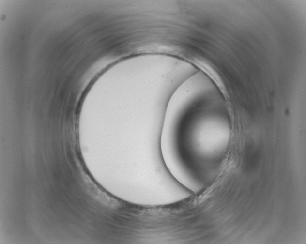 X0000066091000200603171051