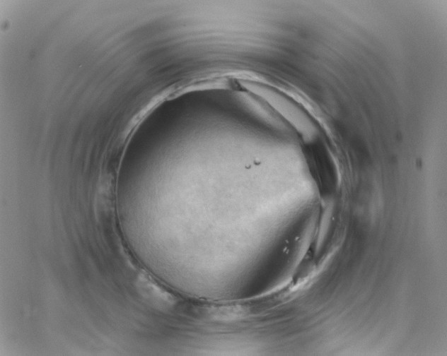 X0000066091001200603171051