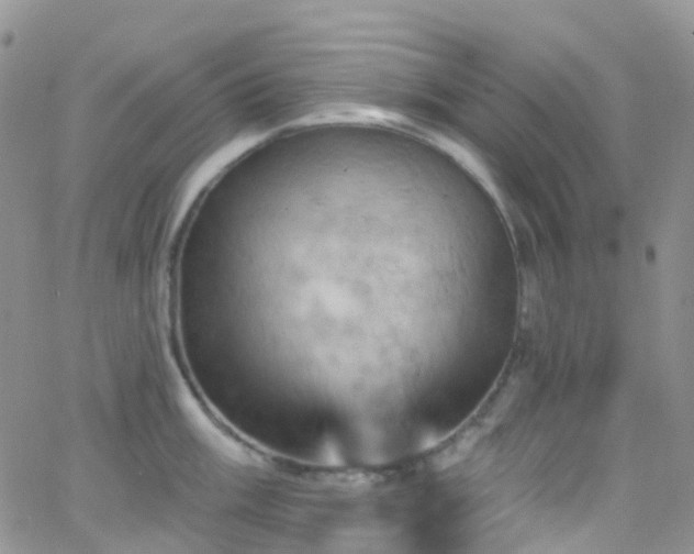 X0000066091003200603171051