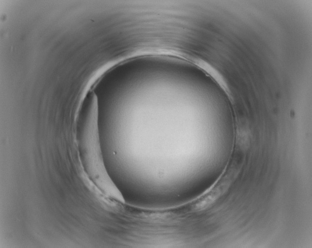 X0000066091004200603171051