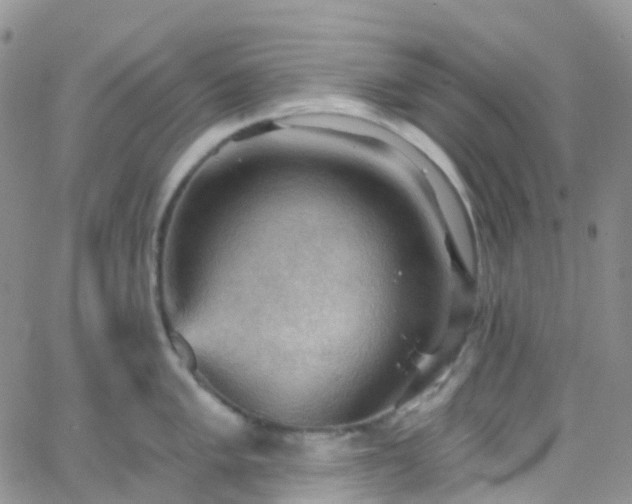 X0000066091005200603171051