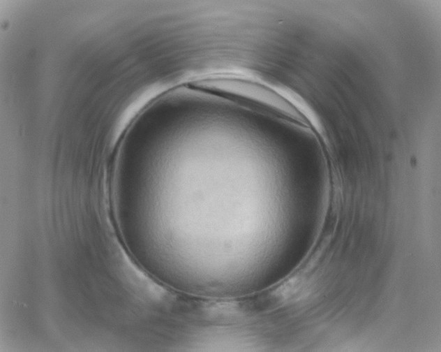 X0000066091006200603171051