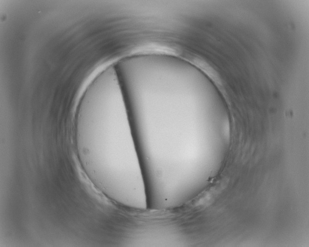 X0000066091008200603171051