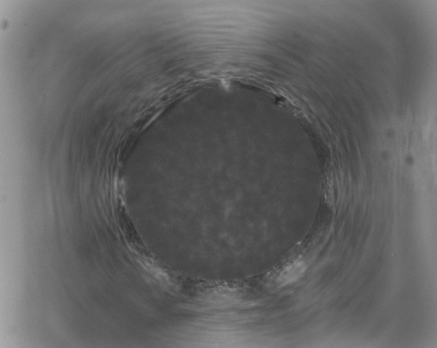 X0000066091010200603171050