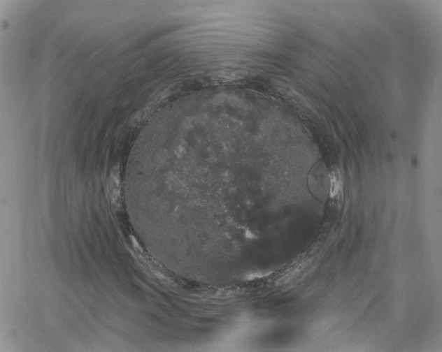 X0000066091011200603171050