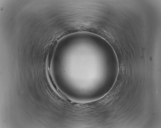 X0000066091012200603171050