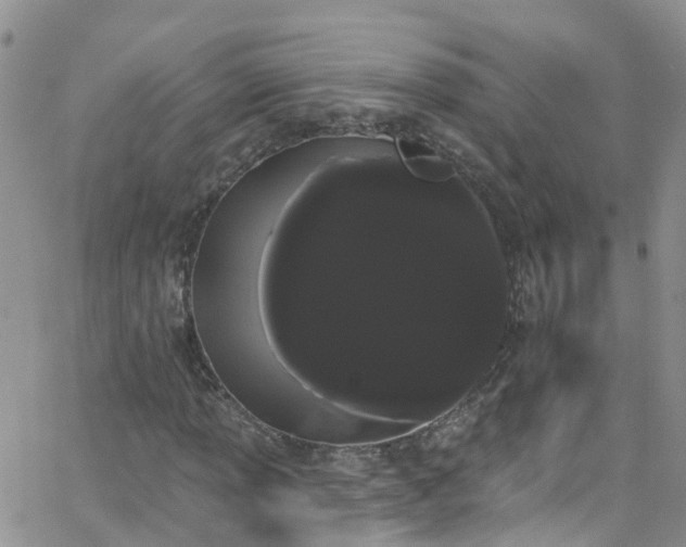 X0000066091013200603171050