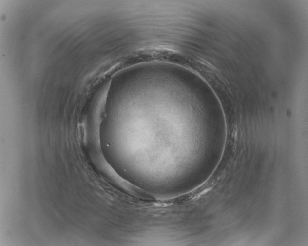 X0000066091014200603171050