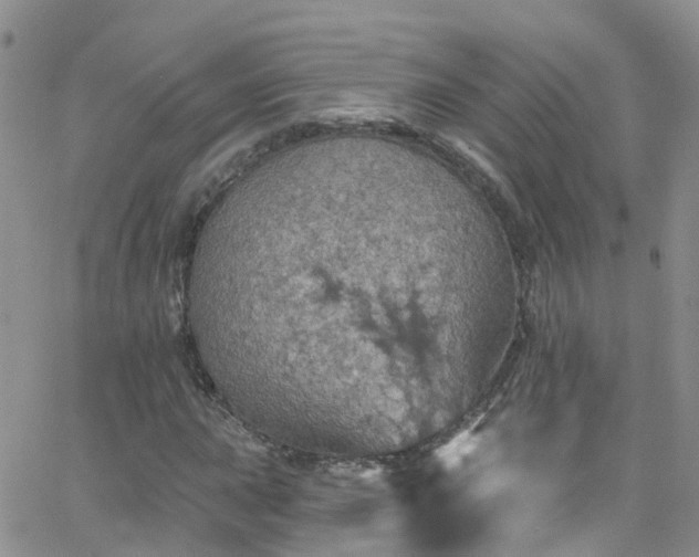 X0000066091015200603171050