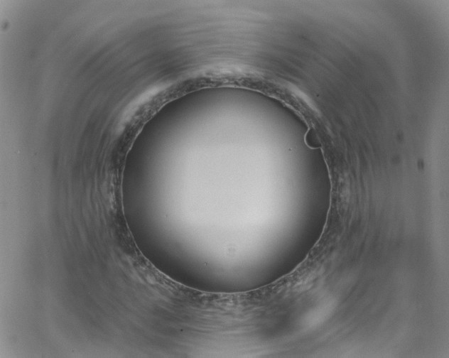 X0000066091016200603171050