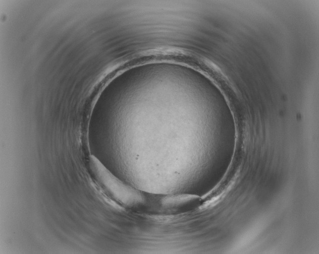 X0000066091017200603171050