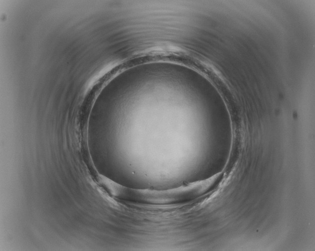 X0000066091018200603171050