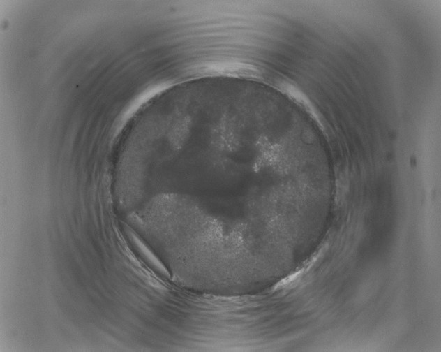 X0000066091019200603171050