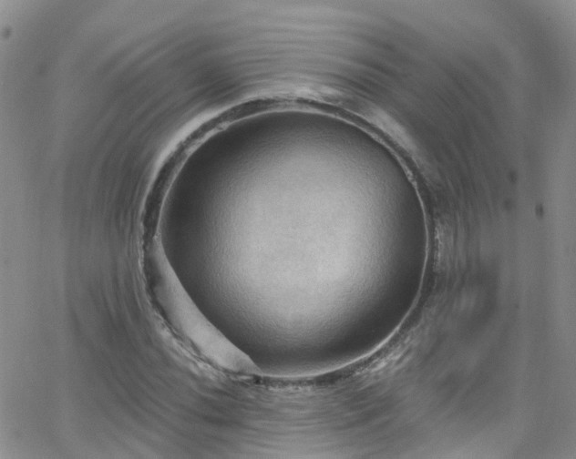 X0000066091020200603171050